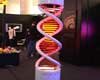 NEON DNA